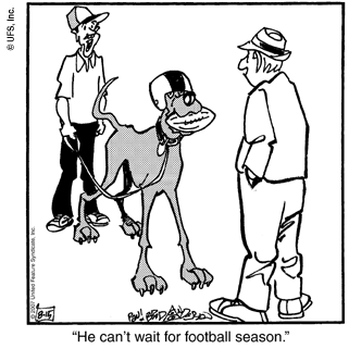 marmaduke